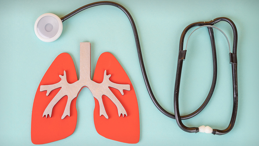 Graphic of lungs and stethoscope